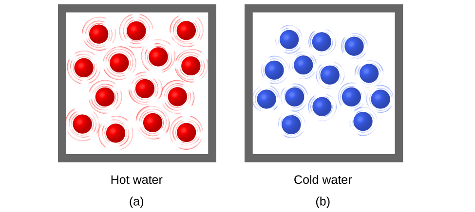 Two molecular drawings are shown and labeled a and b. Drawing a is a box containing fourteen red spheres that are surrounded by lines indicating that the particles are moving rapidly. This drawing has a label that reads “Hot water.” Drawing b depicts another box of equal size that also contains fourteen spheres, but these are blue. They are all surrounded by smaller lines that depict some particle motion, but not as much as in drawing a. This drawing has a label that reads “Cold water.”