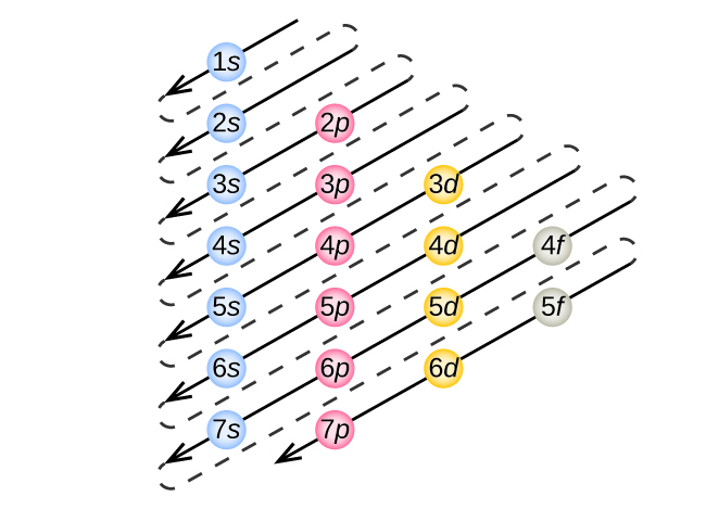 This figure includes a chart used to order the filling of electrons into atoms. At the top is a blue circle labeled “1 s.” In a row beneath this circle are 6 additional blue circles labeled “2 s” through “7 s.” A column to the right begins just right of 2 s and contains pink circles labeled 2 p through 7 p. A column to the right begins just right of 3 p and contains yellow circles labeled 3 d through 6 d. No circles are placed to the right of the 7 s and 7 p circles. A final column on the right begins right of 4 d. It includes grey circles labeled, “4 f” and, “5 f.” No circles are placed right of 6 d. Through these circles, arrows are included in the figure pointing down and to the left. The first arrow begins in the upper right and passes through 1 s. The second arrow begins just below and passes through 2 s. The third arrow passes through 2 p and 3 s. The fourth arrow passes through 3 p and 4 s. This pattern of parallel arrows pointing downward to the left continues through all circles completing the pattern 1 s 2 s 2 p 3 s 3 p 4 s 3 d 4 p 5 s 4 d 5 p 6 s 4 f 5 d 6 p 7 s 5 f 6 d 7 p.