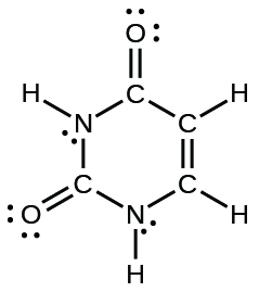 A Lewis hexagonal ring structure is shown. From the top of the ring, three carbon atoms, one nitrogen atom, a carbon atom and a nitrogen atom are single bonded to one another. The top carbon is single bonded to an oxygen, the second and third carbons and the nitrogen atom are each single bonded to a hydrogen atom. The next carbon is single bonded to an oxygen atom and the last nitrogen is single bonded to a hydrogen atom. The oxygen atoms have two lone pairs of electron dots, and the nitrogen atoms have one lone pair of electron dots.