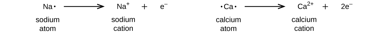 Two diagrams are shown. The left diagram shows a Lewis dot structure of sodium with one dot, then a right-facing arrow leading to a sodium symbol with a superscripted plus sign, a plus sign, and the letter “e” with a superscripted negative sign. The terms below this diagram read “Sodium atom” and “Sodium cation.” The right diagram shows a Lewis dot structure of calcium with two dots, then a right-facing arrow leading to a calcium symbol with a superscripted two and a plus sign, a plus sign, and the value “2e” with a superscripted negative sign. The terms below this diagram read “Calcium atom” and “Calcium cation.”