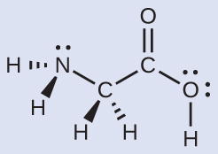 A Lewis structure depicts a nitrogen atom with one lone pair of electrons that is single bonded to two hydrogen atoms and a carbon atom. The atoms described are drawn with bonds that indicate a three-dimensional, tetrahedral shape around the nitrogen atom. The carbon is, in turn, single bonded to two hydrogen atoms and another carbon atom, and again, a tetrahedral, three dimensional configuration is indicated by the types of bonds. This second carbon atom is double bonded to an oxygen atom and single bonded to an oxygen that has two lone pairs of electrons and a single bond to a hydrogen atom.