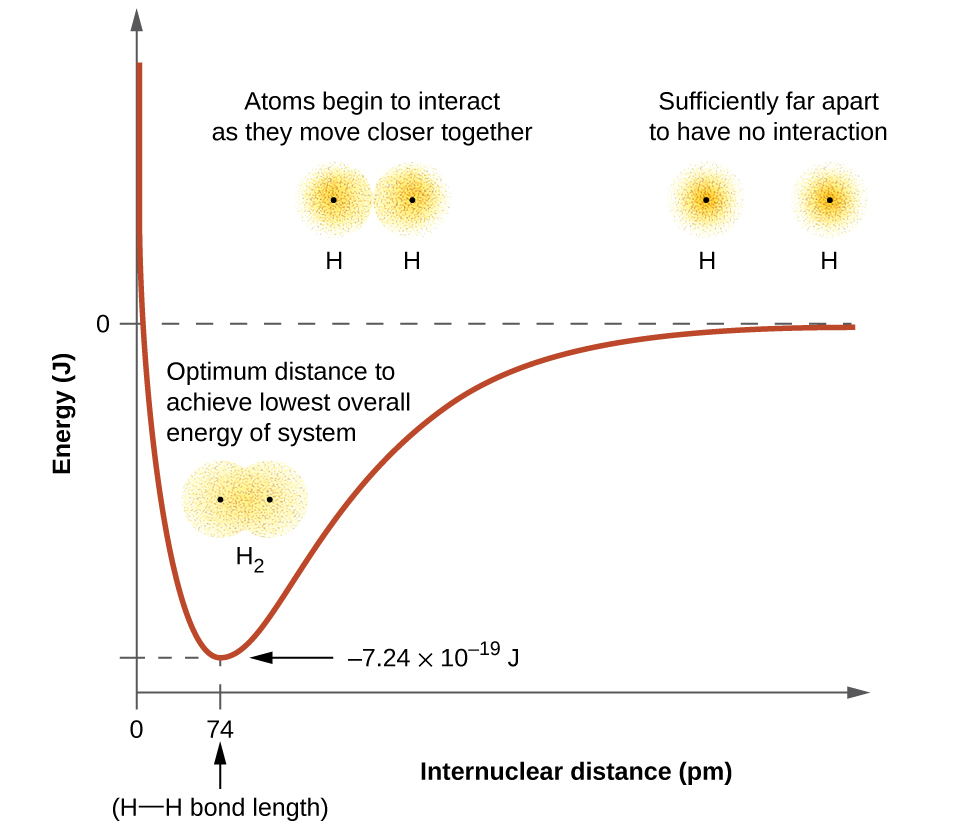 A pair of diagrams are shown and labeled “a” and “b”. Diagram a shows three consecutive images. The first image depicts two separated blurry circles, each labeled with a positive sign and the term “H atom.” The phrase written under them reads, “Sufficiently far apart to have no interaction.” The second image shows the same two circles, but this time they are much closer together and are labeled, “Atoms begin to interact as they move closer together.” The third image shows the two circles overlapping, labeled, “H subscript 2,” and, “Optimum distance to achieve lowest overall energy of system.” Diagram b shows a graph on which the y-axis is labeled “Energy ( J ),” and the x-axis is labeled, “Internuclear distance ( p m ).” The midpoint of the y-axis is labeled as zero. The curve on the graph begins at zero p m and high on the y-axis. The graph slopes downward steeply to a point far below the zero joule line on the y-axis and the lowest point reads “0.74 p m” and “H bonded to H bond length.” It is also labeled “ negative 7.24 times 10 superscript negative 19 J.” The graph then rises again to zero J. The graph is accompanied by the same images from diagram a; the first image correlates to the point in the graph where it crosses the zero point on the y-axis, the third image where the graph is lowest.