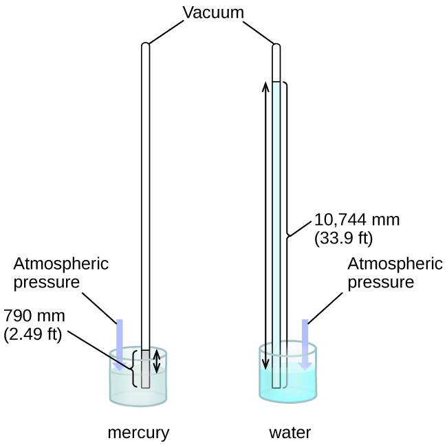 This figure shows two barometers. The barometer to the left contains a shallow reservoir, or open container, of mercury. A narrow tube extends upward from the reservoir above the reservoir. This tube is sealed at the top. To the right, a second similar setup is shown with a reservoir filled with water. Line segments connect the label “vacuum” to the tops of the two narrow tubes. The tube on the left shows the mercury in the reservoir extending in a column upward in the narrow tube. Similarly, the tube on the right shows the water in the reservoir extending upward into the related narrow tube. Double-headed arrows extend from the surface of each liquid in the reservoir to the top of the liquid in each tube. A narrow column or bar extends from the surface of the reservoir to the same height. This bar is labeled “atmospheric pressure.” The level of the water in its tube is significantly higher than the level of mercury in its tube.