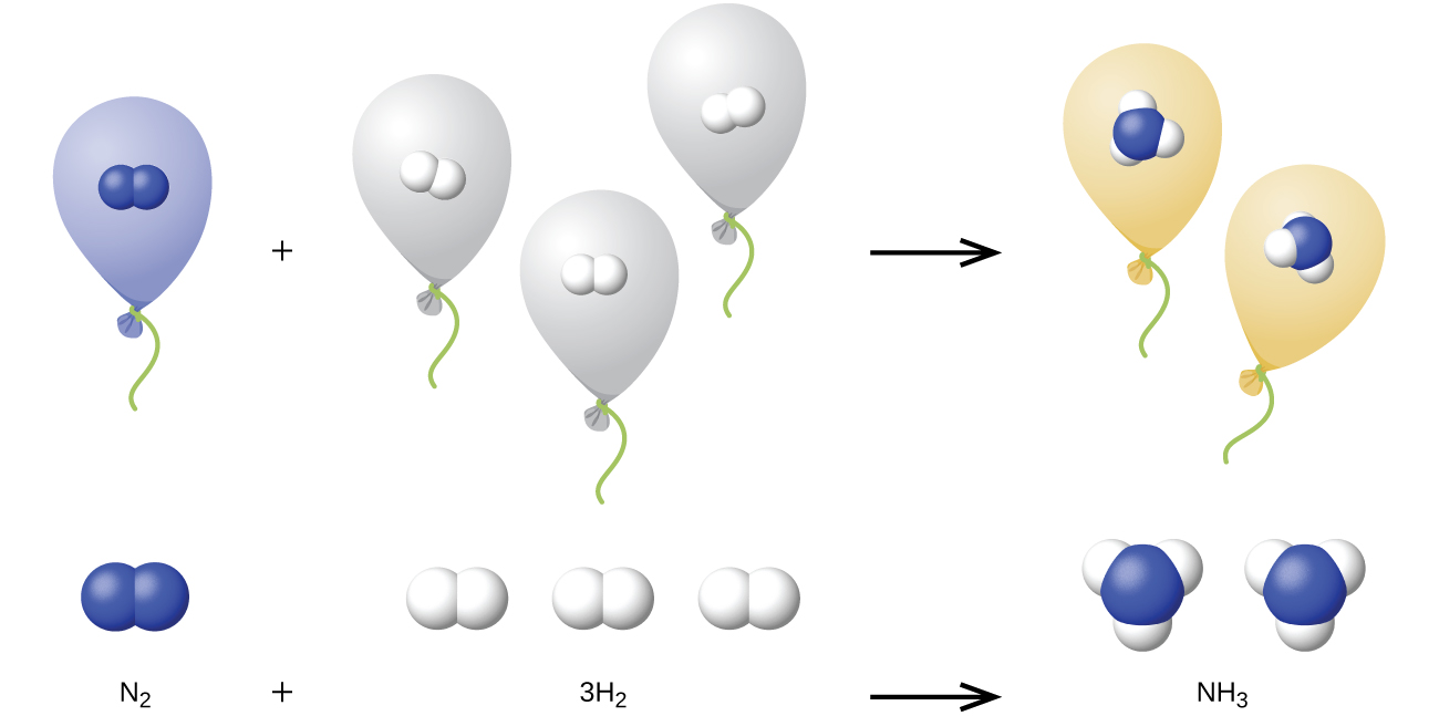 This diagram provided models the chemical reaction written with formulas across the bottom of the figure. The reaction is written; N subscript 2 plus 3 H subscript 2 followed by an arrow pointing right to N H subscript 3. Just above the formulas, space-filling models are provided. Above N H subscript 2, two blue spheres are bonded. Above 3 H subscript 2, three pairs of two slightly smaller white spheres are bonded. Above N H subscript 3, two molecules are shown composed each of a central blue sphere to which three slightly smaller white spheres are bonded. Across the top of the diagram, the reaction is illustrated with balloons. To the left is a light blue balloon which is labeled “N subscript 2”. This balloon contains a single space-filling model composed of two bonded blue spheres. This balloon is followed by a plus sign, then three grey balloons which are each labeled “H subscript 2.” Each of these balloons similarly contain a single space-filling model composed of two bonded white spheres. These white spheres are slightly smaller than the blue spheres. An arrow follows which points right to two light green balloons which are each labeled “N H subscript 3.” Each light green balloon contains a space-filling model composed of a single central blue sphere to which three slightly smaller white spheres are bonded.
