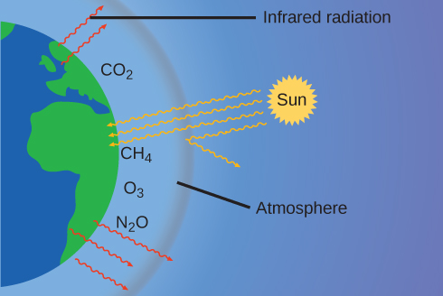 This diagram shows half of a two dimensional view of the earth in blue and green at the left of the image. A slight distance outside the hemisphere is a grey arc. A line segment connects the label “Atmosphere” to the region between the hemisphere and the grey arc. In this region, near the surface of the earth the chemical formulas C O subscript 2, C H subscript 3, and N subscript 2 O appear. Five red arrows formed from wavy lines extend from green regions on the earth out into and just beyond the region labeled “Atmosphere.” The label “Infrared radiation” points to one of these red arrows. At a fair distance outside of the grey arc appears a yellow circle with a jagged boundary. This circle is labeled “Sun.” From it extend yellow arrows with wavy lines which extend toward the earth. Three of the arrows extend to the green region on the earth. One of the arrows appears to be reflected off the grey arc, causing its path to turn away from the earth.