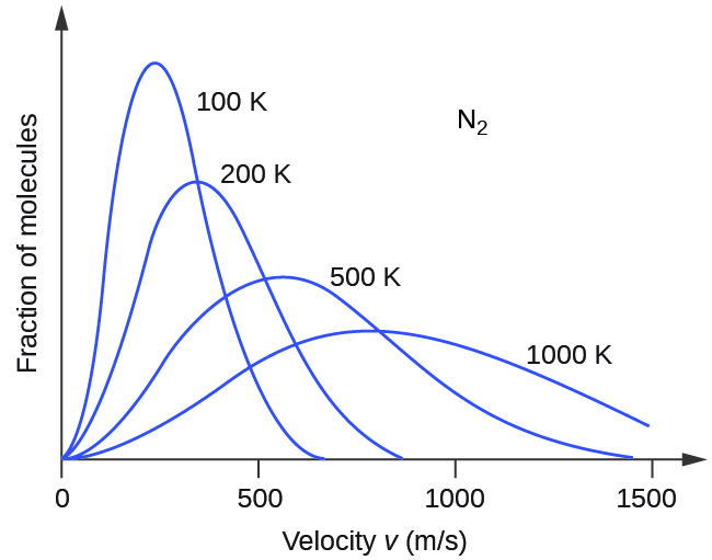 A graph with four positively or right-skewed curves of varying heights is shown. The horizontal axis is labeled, “Velocity v ( m divided by s ).” This axis is marked by increments of 500 beginning at 0 and extending up to 1500. The vertical axis is labeled, “Fraction of molecules.” The label, “N subscript 2,” appears in the open space in the upper right area of the graph. The tallest and narrowest of these curves is labeled, “100 K.” Its right end appears to touch the horizontal axis around 700 m per s. It is followed by a slightly wider curve which is labeled, “200 K,” that is about three quarters of the height of the initial curve. Its right end appears to touch the horizontal axis around 850 m per s. The third curve is significantly wider and only about half the height of the initial curve. It is labeled, “500 K.” Its right end appears to touch the horizontal axis around 1450 m per s. The final curve is only about one third the height of the initial curve. It is much wider than the others, so much so that its right end has not yet reached the horizontal axis. This curve is labeled, “1000 K.”