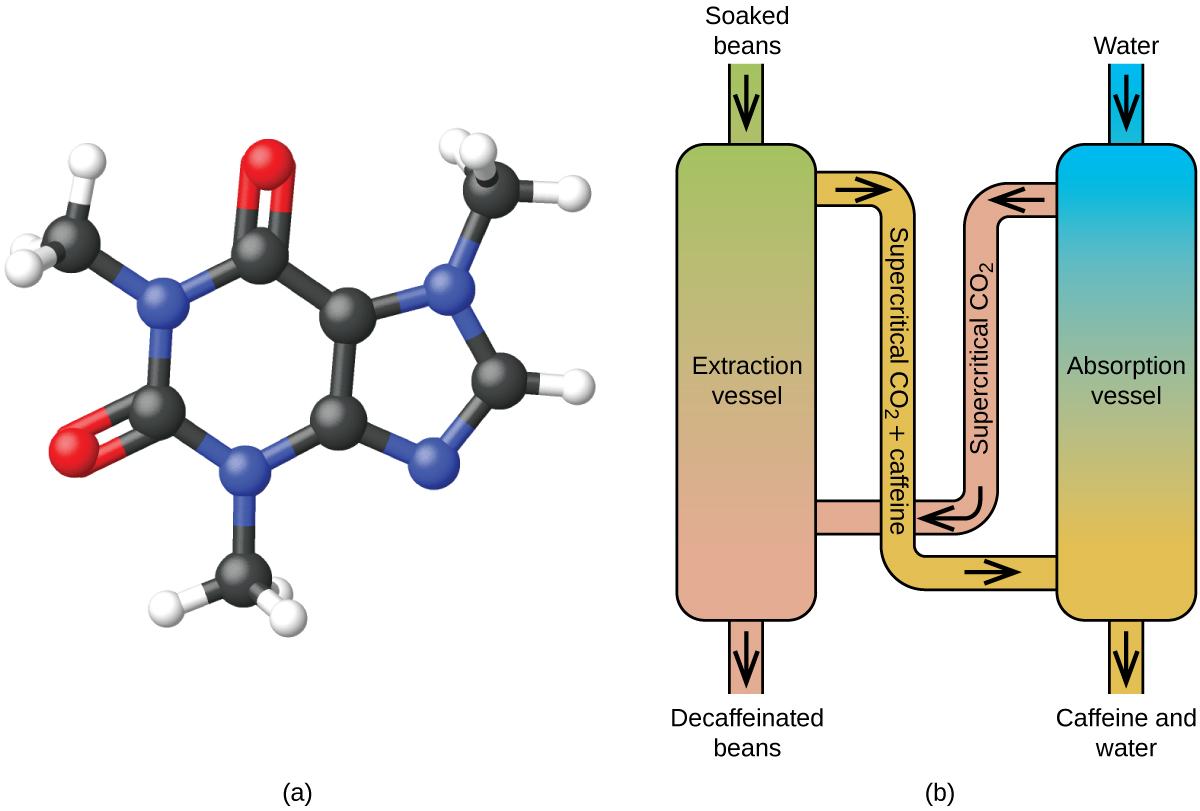 Two images are shown and labeled “a” and “b.” Image a shows a molecule composed of a five member ring composed of two blue spheres and three black spheres. One of the blue spheres is bonded to a black sphere bonded to three white spheres and one of the black spheres is bonded to a white sphere. The other two black spheres are double bonded together and make up one side of a six-membered ring that is also composed of two more black spheres and two blue spheres, both of which are bonded to a black sphere bonded to three white spheres. The black spheres are each double bonded to red spheres. Image b shows a diagram of two vertical tubes that lie next to one another. The left-hand tube is labeled “Extraction vessel.” A small tube labeled “Soaked beans” leads into the top of the tube and a label at the bottom of the tube reads “Decaffeinated beans.” The right tube is labeled “Absorption vessel.” A tube near the top of this tube is labeled “Water” and another tube leads from the right tube to the left. This tube is labeled with a left-facing arrow and the phrase “supercritical carbon dioxide.” There is a tube leading away from the bottom which is labeled, “Caffeine and water.” There is another tube that leads from the extraction vessel to the absorption vessel which is labeled, “supercritical C O subscript 2 plus caffeine.”
