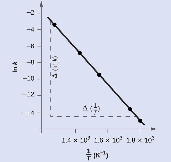 A graph is shown with the label “1 divided by T ( K superscript negative 1 )” on the x-axis and “l n k” on the y-axis. The horizontal axis has markings at 1.4 times 10 superscript 3, 1.6 times 10 superscript 3, and 1.8 times 10 superscript 3. The y-axis shows markings at intervals of 2 from negative 14 through negative 2. A decreasing linear trend line is drawn through five points at the coordinates: (1.28 times 10 superscript negative 3, negative 3.231), (1.43 times 10 superscript negative 3, negative 6.759), (1.55 times 10 superscript negative 3, negative 9.362), (1.74 times 10 superscript negative 3, negative 13.617), and (1.80 times 10 superscript negative 3, negative 14.860). A vertical dashed line is drawn from a point just left of the data point nearest the y-axis. Similarly, a horizontal dashed line is draw from a point just above the data point closest to the x-axis. These dashed lines intersect to form a right triangle with a vertical leg label of “capital delta l n k” and a horizontal leg label of “capital delta 1 divided by T.”