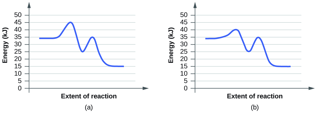 In this figure, two graphs are shown. The x-axes are labeled, “Extent of reaction,” and the y-axes are labeled, “Energy (k J).” The y-axes are marked off from 0 to 50 at intervals of 5. In a, a blue curve is shown. It begins with a horizontal segment at about 34. The curve then rises sharply near the middle to reach a maximum of about 45, then sharply falls to about 25, again rises sharply to about 35 and falls to another horizontal segment at about 15. In b, the curve begins and ends similarly, but the first peak reaches about 40, drops to 25, then rises to 35 before falling to the horizontal region at about 15.