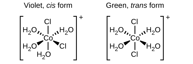 Two structures are shown. The first is labeled, “Violet, cis form.” Below this label inside brackets is a central C o atom. From the C o atom, line segments indicate bonds to a C l atom above and the O atom of an H subscript 2 O group below the structure. Above and to both the right and left, dashed wedges with their vertex at the C o atom widening as they move out from the atom indicate bonds with O atoms of H subscript 2 O groups. Similarly, solid wedges below to both the right and left indicate bonds to a C l atom on the right and the O atom of an H subscript 2 O group on the left. This structure is enclosed in brackets. Outside the brackets to the right is the superscript plus sign. The second is labeled, “Green, trans form.” Below this label inside brackets is a central C o atom. From the C o atom, line segments indicate bonds to C l atoms above and below the structure. Above and to both the right and left, dashed wedges indicate bonds with O atoms of H subscript 2 O groups. Similarly, solid wedges below to both the right and left indicate bonds to the O atoms of H subscript 2 O groups. This structure is also enclosed in brackets with a superscript plus sign outside the brackets to the right.