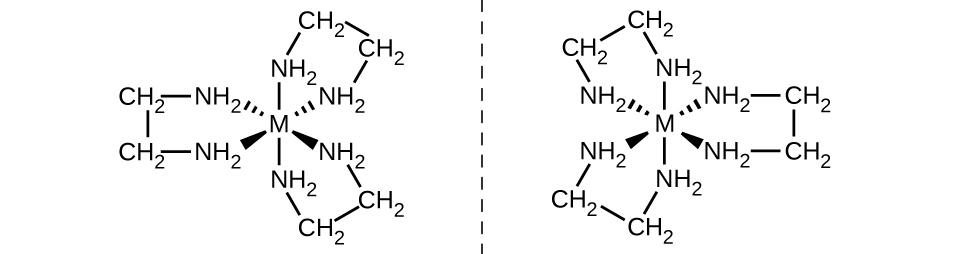 Two structures are shown with a vertical dashed line segment between them. The structure left of this line segment has a central M representing a metal atom. To this atom, six N H subscript 2 groups are attached with single bonds. These bonds are indicated with line segments extending above and below, dashed wedges extending up and to the left and right, and solid wedges extending below and to the left and right. The bonds to these groups are all directed toward the N atoms. The N H subscript 2 groups are each connected to C atoms of C H subscript 2 groups extending outward from the central M atom. These C H subscript 2 groups are connected in pairs with bonds indicated by short line segments. This structure has the overall appearance of a flower with three petals, two of which are equidistant from the dashed line. A mirror image of this structure appears on the right side of the dashed line, again with two of the “petals” equidistant from the dashed line to its left.