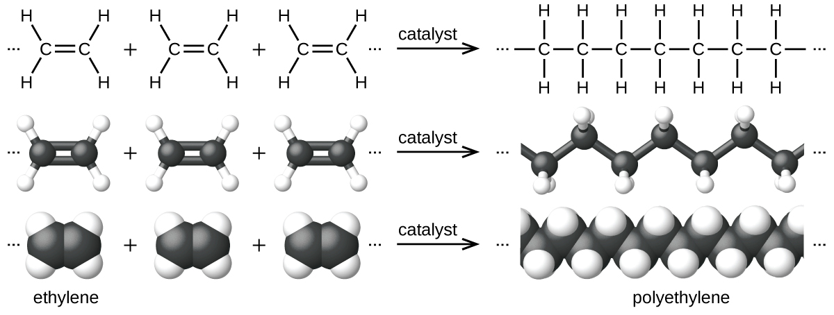 This diagram has three rows, showing ethylene reacting to form polyethylene. In the first row, Lewis structural formulas show three molecules of ethylene being added together, which are each composed of two doubly bonded C atoms, each with two bonded H atoms. Ellipses, or three dots, are present before and after the molecule structures, which in turn are followed by an arrow pointing right. On the right side of the arrow, the ellipses or dots again appear to the left of a dash that connects to a chain of 7 C atoms, each with H atoms connected above and below. A dash appears at the end of the chain, which in turn is followed by ellipses or dots. The reaction diagram is repeated in the second row using ball-and-stick models for the structures. In these representations, single bonds are represented with sticks, double bonds are represented with two parallel sticks, and elements are represented with balls. Carbon atoms are black and hydrogen atoms are white in this image. In the third row, space-filling models are shown. In these models, atoms are enlarged spheres which are pushed together, without sticks to represent bonds.