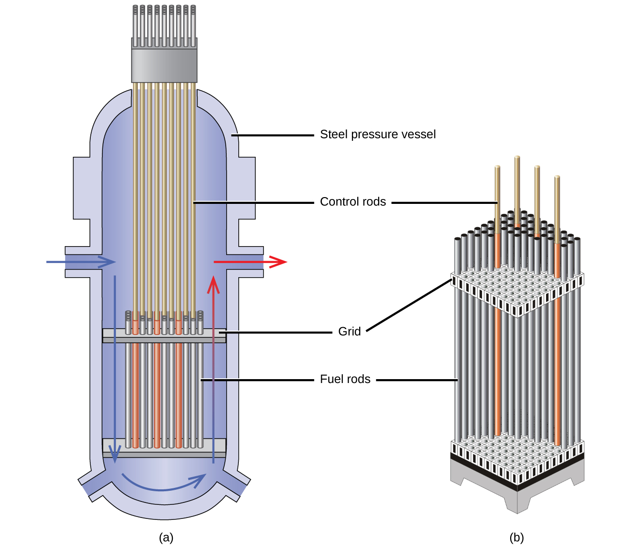 Two diagrams are shown and labeled “a” and “b.” Diagram a shows a cut-away view of a vertical tube with a flat, horizontal plate near the bottom that connects to a series of vertical pipes lined up next to one another and labeled “Fuel rods.” A second horizontal plate labeled “Grid” lies at the top of the pipes and a second set of thinner, vertical pipes, labeled “Control rods,” leads from this plate to the top of the container. The walls of the container are labeled “Steel pressure vessel.” A blue, right-facing arrow leads from an entry point in the left side of the container and is followed by a second, down-facing blue arrow and a curved, right-facing arrow that trace along the outer, bottom edge of the container. A blue and red arrow follows these and faces up the right side of the container to an exit near the right face where a red, right-facing arrow leads out. Diagram b is a cut-away image of a vertical, rectangular, three dimensional set of vertical pipes. The pipes are labeled “Fuel rods” and are inserted into an upper and lower horizontal plate labeled “Grid.” Four thin rods extend above the pipes and are labeled “Control rods.