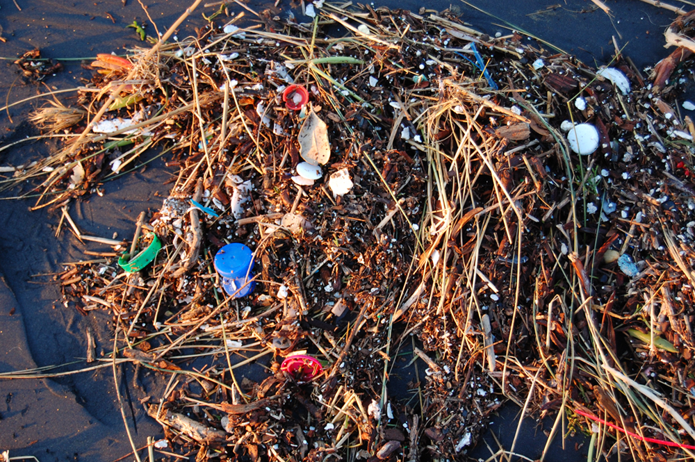 A pile of garbage and grasses is shown here.