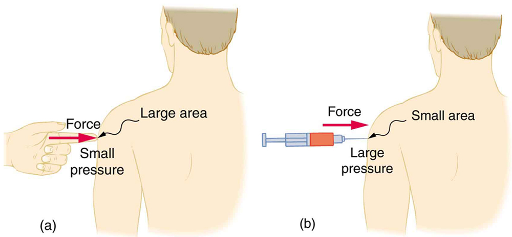 In figure a, the person is poked with a finger exerting a small pressure due to the large area of contact and, in b, he is poked with a syringe exerting a large pressure due to the small area of contact.