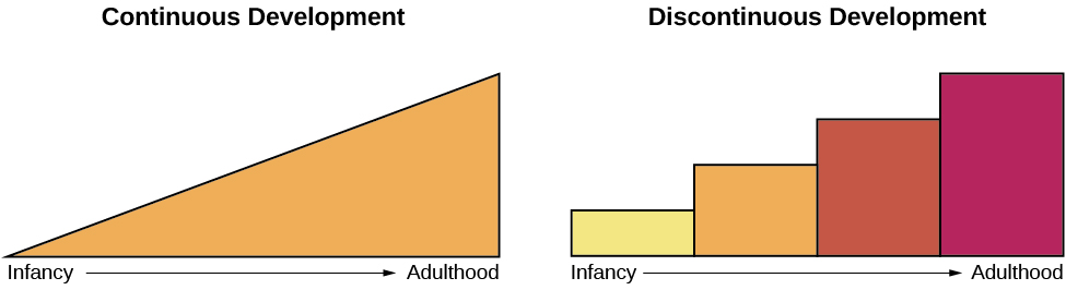 Continuous and Discontinuous development are shown side by side using two separate pictures. The first picture is a triangle labeled “Continuous Development” which slopes upward from Infancy to Adulthood in a straight line. The second picture is 4 bars side by side labeled “Discontinuous Development” which get higher from Infancy to Adulthood. These bars resemble a staircase.