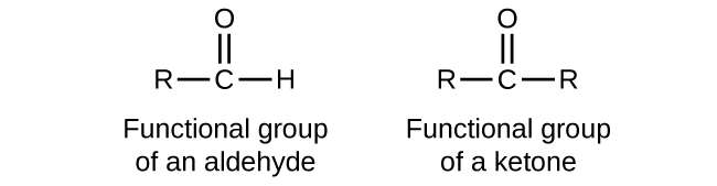 Five structures are shown. The first is a C atom with an R group bonded to the left and an H atom to the right. An O atom is double bonded above the C atom. This structure is labeled, “Functional group of an aldehyde.” The second structure shows a C atom with R groups bonded to the left and right. An O atom is double bonded above the C atom. This structure is labeled, “Functional group of a ketone.” The third structure looks exactly like the functional group of a ketone. The fourth structure is labeled C H subscript 3 C H O. It is also labeled, “An aldehyde,” and “ethanal (acetaldehyde).” This structure has a C atom to which 3 H atoms are bonded above, below, and to the left. In red to the right of this C atom, a C atom is attached which has an O atom double bonded above and an H atom bonded to the right. The O atom as two sets of electron dots. The fifth structure is labeled C H subscript 3 C O C H subscript 2 C H subscript 3. It is also labeled, “A ketone,” and “butanone.” This structure has a C atom to which 3 H atoms are bonded above, below, and to the left. To the right of this in red is a C atom to which an O atom is double bonded above. The O atom has two sets of electron dots. Attached to the right of this red C atom in black is a two carbon atom chain with H atoms attached above, below, and to the right.