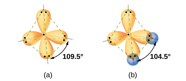 Two diagrams are shown and labeled “a” and “b.” Diagram a shows two peanut-shaped orbitals lying in a tetrahedral arrangement around the letter “O.” Diagram b shows the same two orbitals, but they now overlap to the top and to the left with two spherical orbitals, each labeled “H.” A pair of electrons occupies each lobe of the peanut-shaped orbitals.