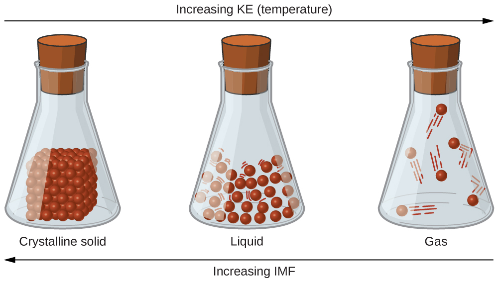 Three sealed flasks are labeled, “Crystalline solid,” “Liquid,” and “Gas,” from left to right. The first flask holds a cube composed of small spheres sitting on the bottom while the second flask shows a lot of small spheres in the bottom that are spaced a small distance apart from one another and have lines around them to indicate motion. The third flask shows a few spheres spread far from one another with larger lines to indicate motion. There is a right-facing arrow that spans the top of all three flasks. The arrow is labeled, “Increasing K E ( temperature ).” There is a left-facing arrow that spans the bottom of all three flasks. The arrow is labeled, “Increasing I M F.”