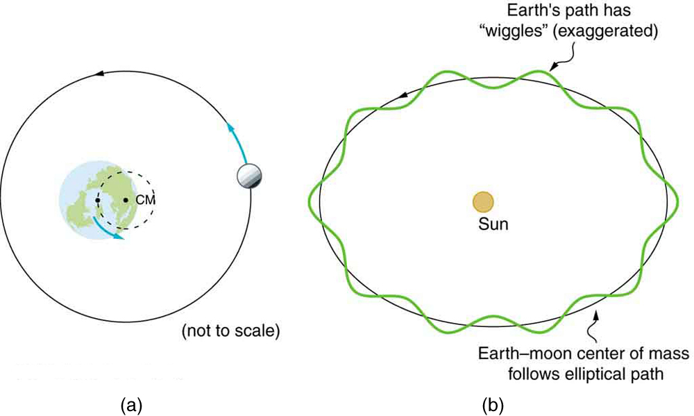 Figure a shows the Earth and the Moon around it orbiting in a circular path shown here as a circle around the Earth with an arrow over it showing the counterclockwise direction of the Moon. The center of mass of the circle is shown here with a point on the Earth that is not the Earth's center but just right to its center. Figure b shows the Sun and the counterclockwise rotation of the Earth around it, in an elliptical path, which has wiggles. Along this path the center of mass of the Earth-Moon is also shown; it follows non-wiggled elliptical path.