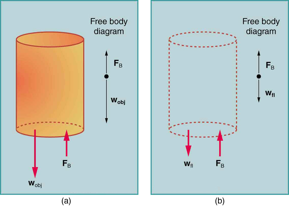 An object immersed in a fluid rises if its buoyant force is greater than its weight and sinks if its buoyant force is less than its weight. By Archimedes' principle the buoyant force equals the weight of the fluid displaced.