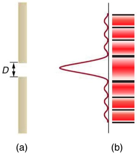 Part a of the figure shows a slit in a vertical bar. To the right of the bar is a graph of intensity versus height. The graph is turned ninety degrees counterclockwise so that the intensity scale increases to the left and the height increases as you go up the page. Just in front of the gap, a strong central peak extends leftward from the graph’s baseline, and many smaller satellite peaks appear above and below this central peak. Part b of the figure shows a drawing of the two-dimensional intensity pattern that is observed from single slit diffraction. The central stripe is quite broad compared to the satellite stripes, and there are dark areas between all the stripes.