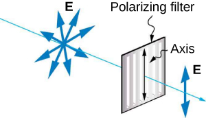 An arrow indicates light is going from a diagram E with arrows pointing in all directions, then a Polarizing filter with a vertical arrow in one direction labeled Axis. The light diagram to the right of the filter shows only one vertical line with arrows pointing up and down.