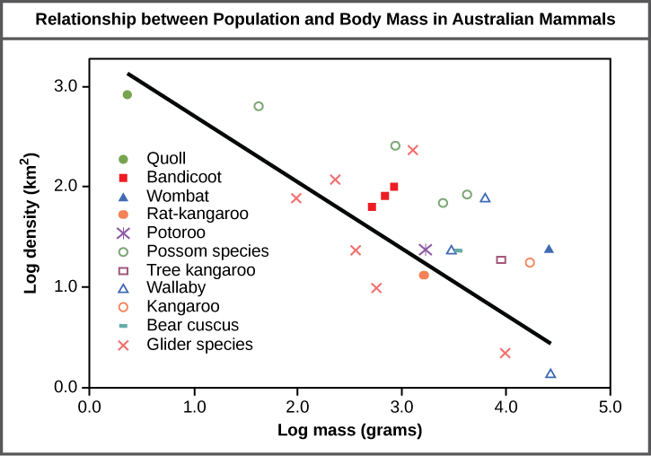 Graph plots log density in kilometers squared versus log body mass in grams. The values are inversely proportional, so that density decreases linearly with increasing body mass.