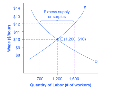 The graph shows how a price floor results from an excess supply of labor.