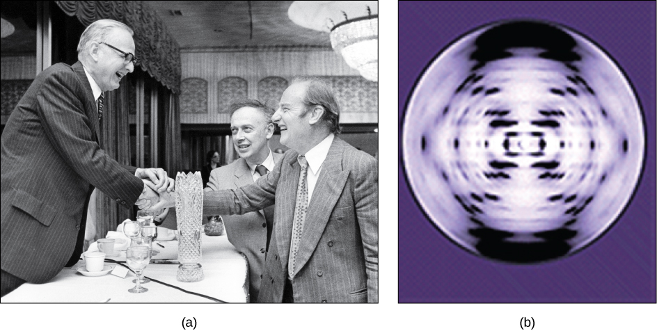 The photo in part A shows James Watson, Francis Crick, and Maclyn McCarty. The x-ray diffraction pattern in part b is symmetrical, with dots in an x-shape