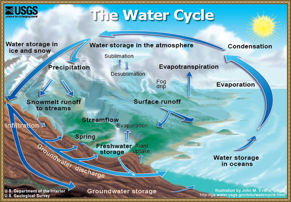 The Water Cycle