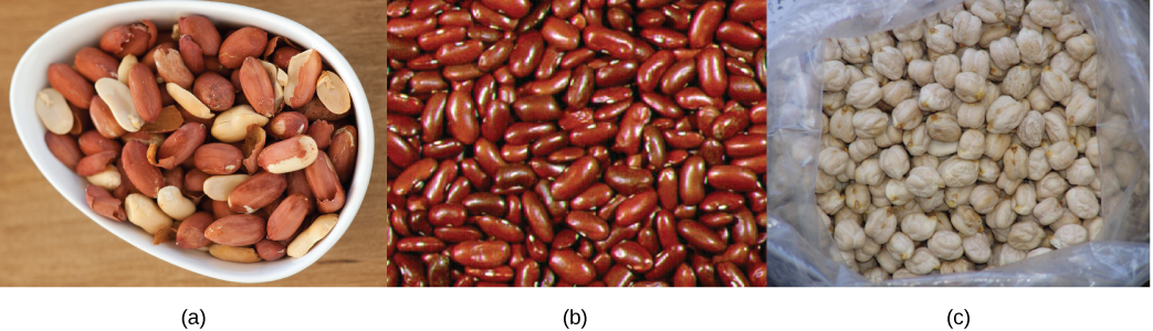  Top photo shows a bowl of shelled peanuts. Middle photo shows red kidney beans. Bottom photo shows white, bumpy, round chickpeas.