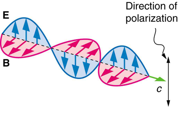 The schematic shows an axis labeled c that points to the right. On this axis are two sinusoidal waves that are in phase. The wave labeled E oscillates up down in the vertical plane and the wave labeled B oscillates back and forth in the horizontal plane. At the tip of the axis c is a double headed arrow oriented vertically that is labeled direction of polarization.