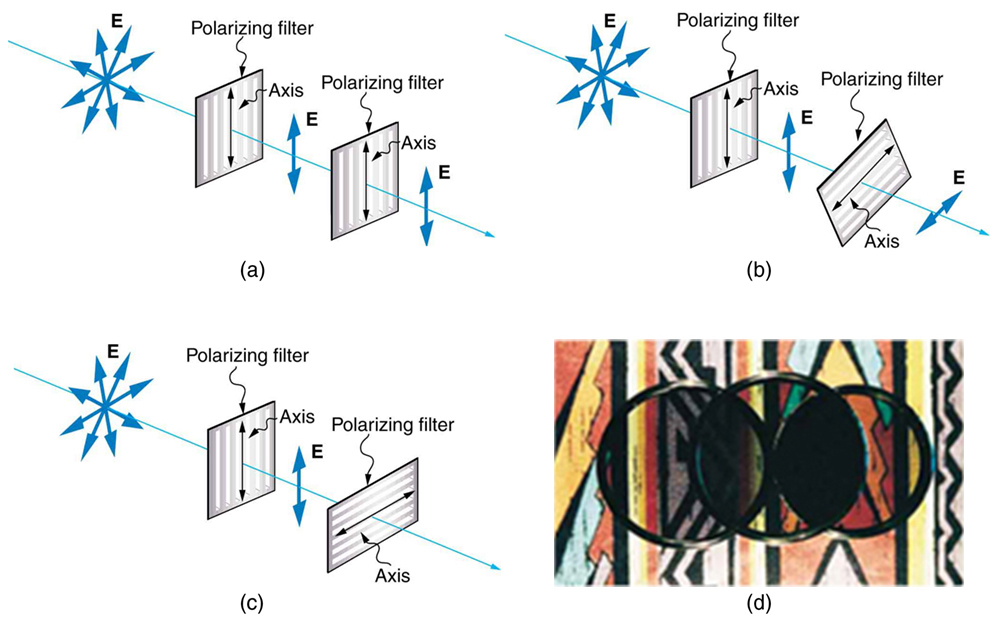 This figure has four subfigures. The first three are schematics and the last is a photograph. The first schematic looks much as in the previous figure, except that there is a second polarizing filter on the axis after the first one. The second polarizing filter has its lines aligned parallel to those of the first polarizing filter (i e, vertical). The vertical double headed arrow labeled E that emerges from the first polarizing filter also passes through the second polarizing filter. The next schematic is similar to the first, except that the second polarizing filter is rotated at forty five degrees with respect to the first polarizing filter. The double headed arrow that emerges from this second filter is also oriented at this same angle. It is also noticeably shorter than the other double headed arrows. The third schematic shows the same situation again, except that the second polarizing filter is now rotated ninety degrees with respect to the first polarizing filter. This time, there is no double headed arrow at all after the second polarizing filter. Finally, the last subfigure shows a photo of three circular optical filters placed over a bright colorful pattern. Two of these filters are place next to each other and the third is placed on top of the other two so that the center of the third is at the point where the edges of the two filters underneath touch. Some light passes through where the upper filter overlaps the left-hand underneath filter. Where the upper filter overlaps the right-hand lower filter, no light passes through.