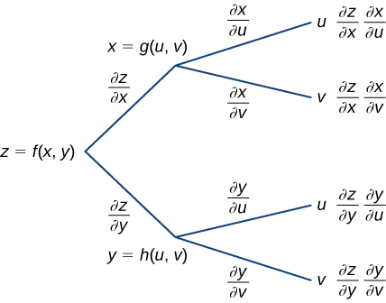A diagram that starts with z = f(x, y). Along the first branch, it is written ∂z/∂x, then x = g(u, v), at which point it breaks into another two branches: the first subbranch says ∂x/∂u, then u, and finally it says ∂z/∂x ∂x/∂u; the second subbranch says ∂x/∂v, then v, and finally it says ∂z/∂x ∂x/∂v. Along the other branch, it is written ∂z/∂y, then y = h(u, v), at which point it breaks into another two branches: the first subbranch says ∂y/∂u, then u, and finally it says ∂z/∂y ∂y/∂u; the second subbranch says ∂y/∂v, then v, and finally it says ∂z/∂y ∂y/∂v.
