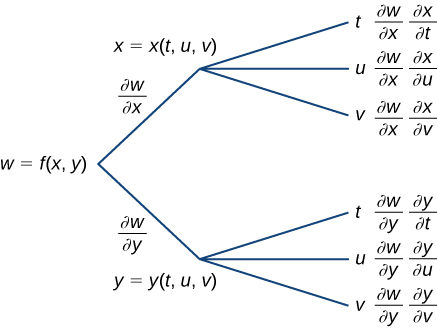 A diagram that starts with w = f(x, y). Along the first branch, it is written ∂w/∂x, then x = x(t, u, v), at which point it breaks into another three subbranches: the first subbranch says t and then ∂w/∂x ∂x/∂t; the second subbranch says u and then ∂w/∂x ∂x/∂u; and the third subbranch says v and then ∂w/∂x ∂x/∂v. Along the second branch, it is written ∂w/∂y, then y = y(t, u, v), at which point it breaks into another three subbranches: the first subbranch says t and then ∂w/∂y ∂y/∂t; the second subbranch says u and then ∂w/∂y ∂y/∂u; and the third subbranch says v and then ∂w/∂y ∂y/∂v.