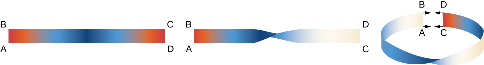 An image showing the construction of a Mobius strip. The first step shows a rectangle with corners A, B, C, and D, labeled from bottom left to bottom right in a clockwise manner. In the second step, the rectangle is flipped along the middle; now, corner D is in the upper right position, and corner C is in the lower right position. We can see the “back” side of the rectangle. In the final step, the rectangle is looped. Corner B connects to corner D, and corner A connects to corner C. The flip from step two remains. But, the “front” and “back” are now the same because of the flip!