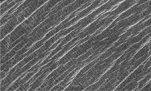 Venusian ridges and cracks on the Lakshmi Plains. Two parallel series of cracks run perpendicular to each other in this image, the brighter set runs from the bottom left to the top right while a fainter set runs from the top left to the lower right.