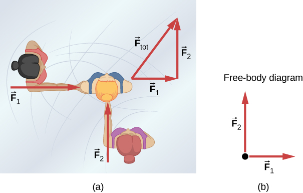 Figure a shows two people pushing a third using forces F1 and F2, which are perpendicular to each other. Another figure shows vector addition, where F1 and F2 are placed head to tail, and the resultant vector F total forms the hypotenuse of the triangle. Figure b shows a free body diagram where F1 and F2 originate from the same point source.