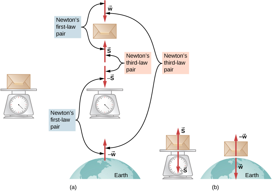 Figure a shows a package on a weighing scale on earth. The three objects are separated and the force vectors are shown. Force w acts downwards on the package and force s acts upwards on it. Force minus s acts downwards on the scale. Force minus w acts upwards from the earth. The pair w and s and the pair minus s and minus w are both labeled Newton’s first law pair. The pair s and minus s and the pair w and minus w are both labeled Newton’s third law pair. Figure b show two systems in isolation: the package scale system and the package earth system. The former has force s acting upwards and minus s acting downwards. The latter has force w acting downwards and force minus w acting upwards.