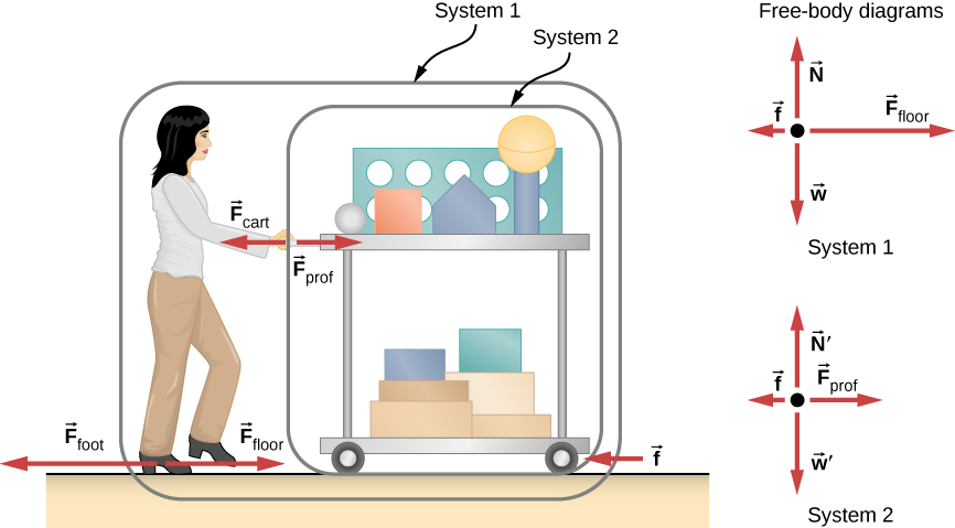 Figure shows a person pushing a cart from left to right. Near the feet of the person are the arrows labeled F subscript foot pointing left and F subscript floor pointing right. An arrow f pointing left is shown near the wheel of the cart. The arrows F subscript prof pointing right and F subscript cart pointing left are shown near her hands. The cart is circled and labeled system 2. The cart and person are circled together and this is labeled system 1. Two free body diagrams are shown. The first, of system 1 has F subscript floor pointing right, N pointing up, f pointing left and w pointing down. The second diagram, of system 2, has F subscript prof pointing right, N prime pointing up, f pointing left and w prime pointing down.