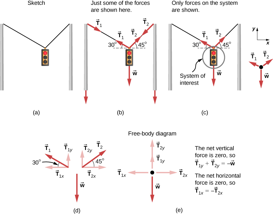 A sketch of a traffic light suspended from two wires supported by two poles is shown. (b) Some forces are shown in this system. Tension T sub one pulling the top of the left-hand pole is shown by the vector arrow along the left wire from the top of the pole, and an equal but opposite tension T sub one is shown by the arrow pointing up along the left-hand wire where it is attached to the light; the left-hand wire makes a thirty-degree angle with the horizontal. Tension T sub two is shown by a vector arrow pointing downward from the top of the right-hand pole along the right-hand wire, and an equal but opposite tension T sub two is shown by the arrow pointing up along the right-hand wire, which makes a forty-five degree angle with the horizontal. The traffic light is suspended at the lower end of the wires, and its weight W is shown by a vector arrow acting downward. (c) The traffic light is the system of interest, indicated by circling the traffic light. Tension T sub one starting from the traffic light is shown by an arrow along the wire making an angle of thirty degrees with the horizontal. Tension T sub two starting from the traffic light is shown by an arrow along the wire making an angle of forty-five degrees with the horizontal. The weight W is shown by a vector arrow pointing downward from the traffic light. A free-body diagram is shown with three forces acting on a point. Weight W acts downward; T sub one and T sub two act at an angle with the vertical. A coordinate system is shown, with positive x to the right and positive y upward. (d) Forces are shown with their components. T sub one is decomposed into T sub one y pointing vertically upward and T sub one x pointing along the negative x direction. The angle between T sub one and T sub one x is thirty degrees. T sub two is decomposed into T sub two y pointing vertically upward and T sub two x pointing along the positive x direction. The angle between T sub two and T sub two x is forty five degrees.  Weight W is shown by a vector arrow acting downward. (e) The net vertical force is zero, so the vector equation is T sub one y plus T sub two y equals W. T sub one y and T sub two y are shown on a free body diagram as equal length arrows pointing up. W is shown as a downward pointing arrow whose length is twice as long as each of the T sub one y and  T sub two y arrows. The net horizontal force is zero, so vector T sub one x is equal to minus vector T sub two x. T sub two x is shown by an arrow pointing toward the right, and T sub one x is shown by an arrow pointing toward the left.