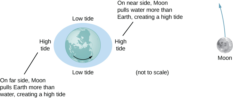 The figure is an illustration of the earth centered within an exaggerated ellipse whose major axis is horizontal. The moon is shown to the right of the earth, moving counterclockwise. The left side of the ellipse is labeled as High tide, with a note that says “on far side, moon pulls earth more than water, creating a high tide.” The right side of the ellipse is labeled as High tide, with a note that says “on near side, moon pulls water more than earth, creating a high tide.” The top and bottom of the ellipse are labeled “Low tide.”