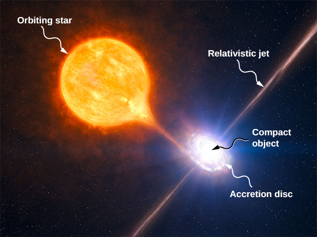 An illustration of the accretion from an orbiting star by a compact object. A large star is shown near a small compact object. Luminous matter is shown being pulled from the star and into a spiral, labeled Accretion disc, circling the compact object. A bright line perpendicular to the disc extends from the center of the compact object, above and below, and is labeled relativistic jet.