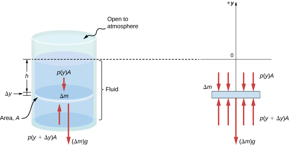 Figure A is a schematic drawing of a cylinder filled with fluid and open to the atmosphere on the top. A disk of mass Delta m, surface area A identical to the surface area of the cylinder, and height Delta y is placed in the fluid. A fluid of height h is located above the disk. Figure B is a schematic drawing of the force Delta m x g expressed by the disk, p (y) x A applied by the fluid above the disk, and p (y + Delta y) x A applied by the fluid below the disk.