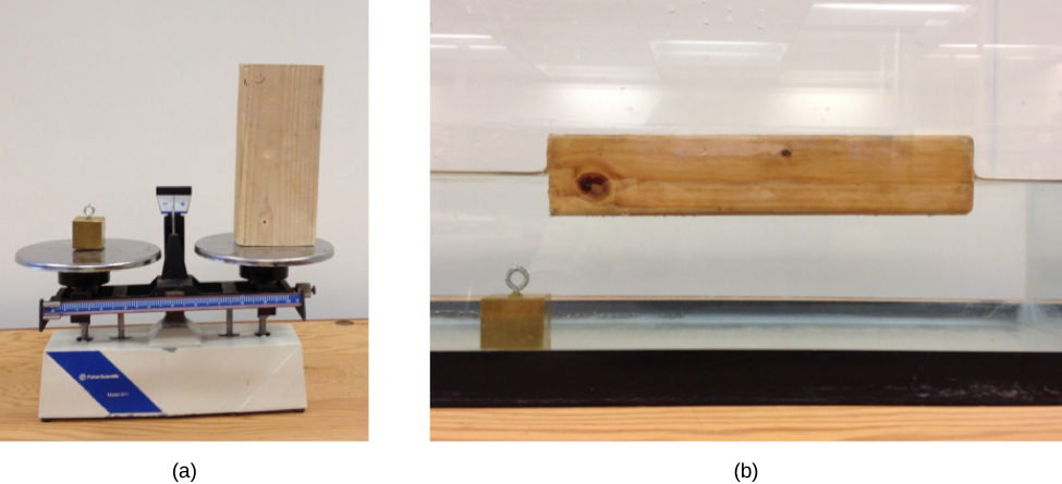 Figure A is a photo of a large block of wood and a small block of brass located on a scale. Scale indicates an identical weight of both blocks. Figure B is a photo of a large block of wood in a fish tank filled with water. The small brass block sinks to the bottom while the block of wood floats.