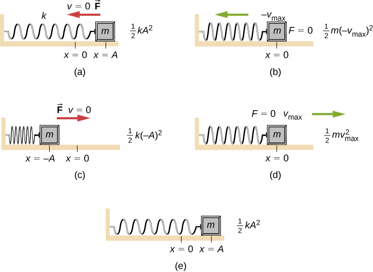 The motion and energy of a mass attached to a horizontal spring, spring constant k, at various points in its motion. In figure (a) the mass is displaced to a position x = A to the right of x =0 and released from rest (v=0.) The spring is stretched. The force on the mass is to the left. The diagram is labeled with one half k A squared. (b) The mass is at x = 0 and moving in the negative x-direction with velocity – v sub max. The spring is relaxed. The Force on the mass is zero. The diagram is labeled with one half m quantity v sub max squared. (c) The mass is at minus A, to the left of x = 0 and is at rest (v =0.) The spring is compressed. The force F is to the right. The diagram is labeled with one half k quantity minus A squared. (d) The mass is at x = 0 and moving in the positive x-direction with velocity plus v sub max. The spring is relaxed. The Force on the mass is zero. The diagram is labeled with one half m v sub max squared. (e) the mass is again at x = A to the right of x =0. The diagram is labeled with one half k A squared.