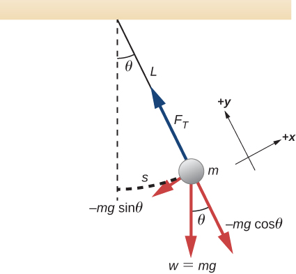 In the figure, a horizontal bar is shown. A string of length L extends from the bar at an angle theta counterclockwise from the vertical. The vertical direction is indicated by a dashed line extending down from where the string is attached to the bar. A circular bob of mass m is attached to the lower end of the string. The arc from the mass to the vertical is indicated by another dashed line and is a length s. A red arrow showing the time T of the oscillation of the mob is shown along the string line toward the bar. A coordinate system is shown near the bob with the positive y direction aligned with the string and pointing toward the pivot point and the positive x direction pointing tangent to the arc and away from the equilibrium position. An blue arrow from the bob toward the pivot, along the string, is labeled F sub T. A red arrow from the bob pointing down is labeled w = m g. A red arrow pointing tangent to the arc and toward equilibrium, in the minus x direction, is labeled minus m g sine theta. A red arrow at an angle theta counterclockwise from w is labeled minus m g cosine theta.