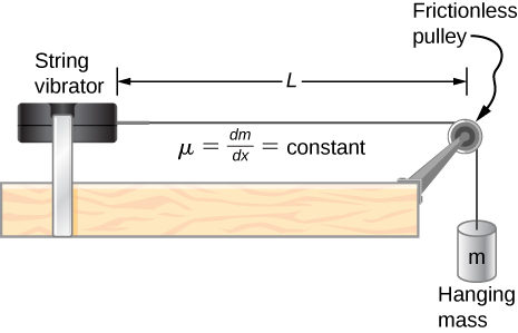 A string vibrator is shown on the left of the figure. A string is attached to its right. This goes over a pulley and down the side of the table. A hanging mass m is suspended from it. The pulley is frictionless. The distance between the pulley and the string vibrator is L. It is labeled mu equal to dm by dx equal to constant.