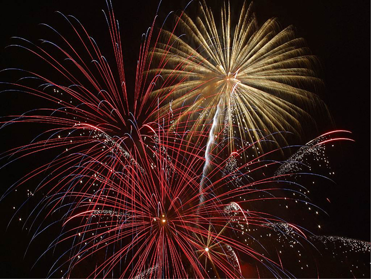 Picture shows a photograph of colorful fireworks illuminating night sky.